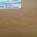 san-go-thaione-TL803